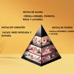 Asad Bourbon 100 ml - Aroma Distintivo para Uso Diario